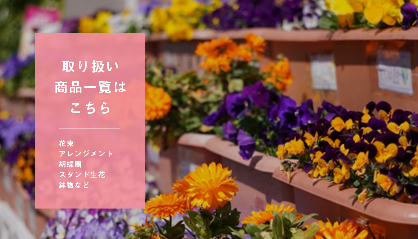 取り扱い商品一覧